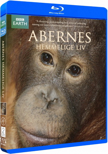 BBC.Тайная жизнь приматов (4 серий из 4) / BBC. The Secret Life of Primates VO
