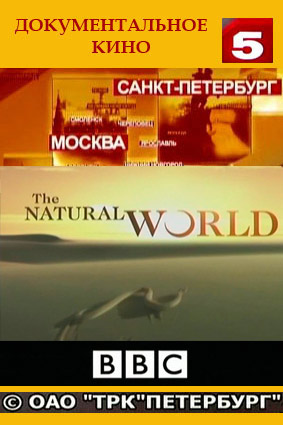 BBC: Мир природы / The Natural World (102 фильма) VO