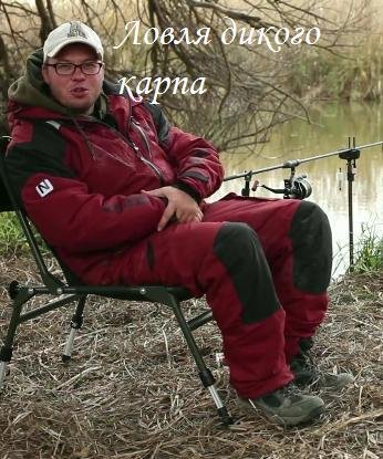 Ловля дикого карпа
