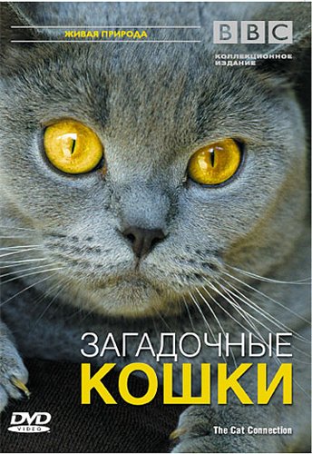 BBC: Загадочные кошки / BBC: The Cat Connection