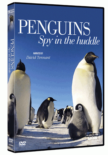 BBC: Пингвин - Шпион под прикрытием (1-3 серии из 3) / BBC: Penguins - Spy In The Huddle VO