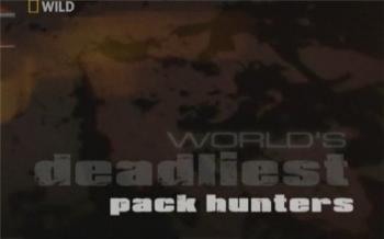 Самые опасные животные: Стайные охотники / World's deadliest: Pack hanters
