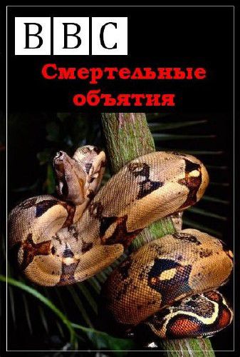 BBC: Смертельные объятия / The Big Squeeze