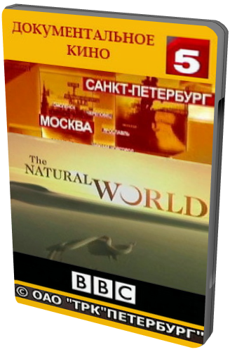 ВВС. Мир природы. Волшебная кожа / Natural World. Toadskin Spell VO