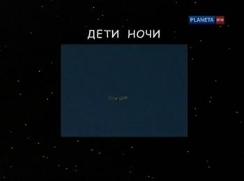 Страна птиц. Дети ночи (4 фильма из 4)