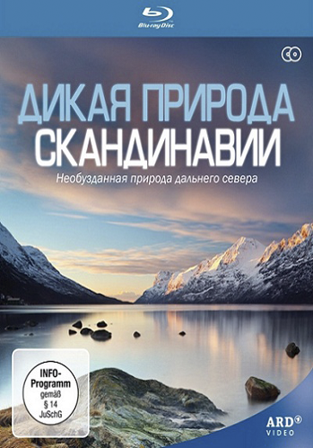Дикая природа Скандинавии / Wild Scandinavia / Wildes Skandinavien AVO