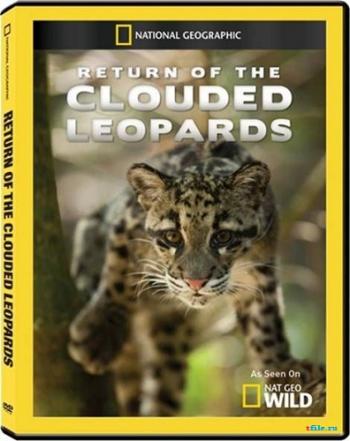Возвращение дымчатых леопардов / National Geographic. Return of the Clouded Leopards VO