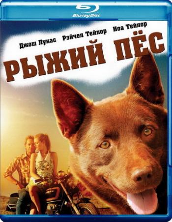Рыжий пес / Red Dog MVO