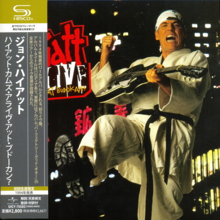 Постер John Hiatt - 10 Albums John Hiatt - 10 Albums