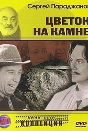 Цветок на камне