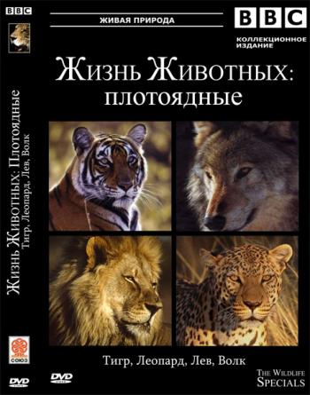 BBC: Жизнь животных - Плотоядные (8 фильмов) / BBC: The Wildlife Specials