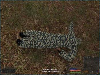 S.T.A.L.K.E.R.