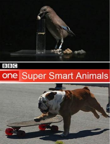     (2   2) / Super Smart Animals DUB