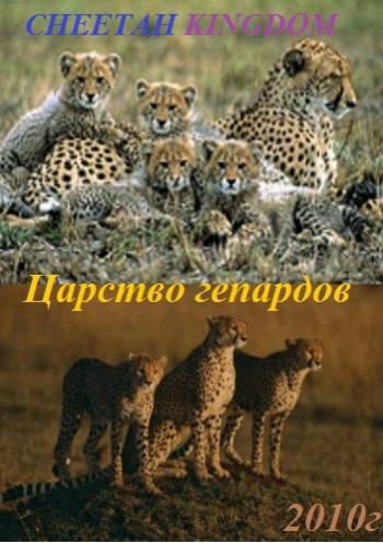 Царство гепардов / Cheetah Kingdom VO