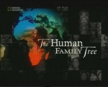 Родословная человечества / National Geographic: The Human Family Tree