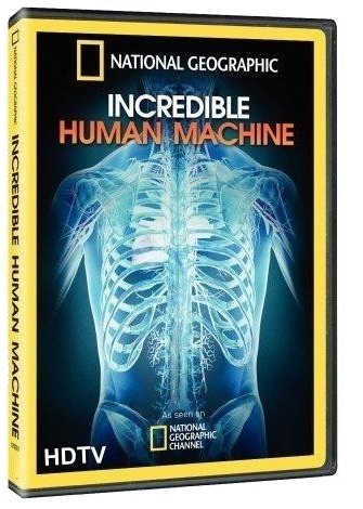 National Geographic: Невероятное тело человека / Incredible Human Machine