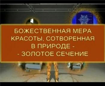 Божественная мера красоты, сотворенная в природе - золотое сечение VO