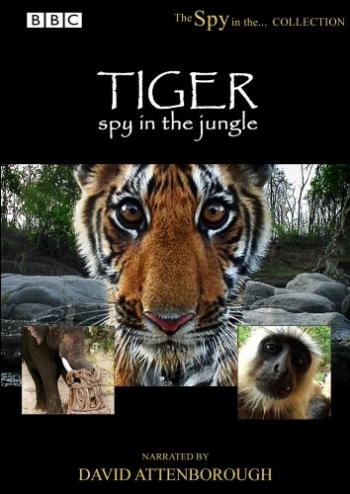 Тигр. Шпион джунглей (3 серии из 3) / BBC. Tiger. Spy in the Jungle VO