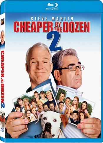 Оптом дешевле 2 / Cheaper by the Dozen 2 2xDUB