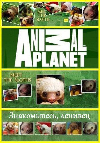 BBC: Знакомьтесь, ленивец / BBC: Meet the Sloths DVO