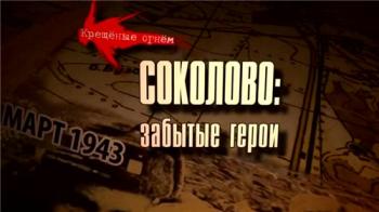 Соколово: забытые герои