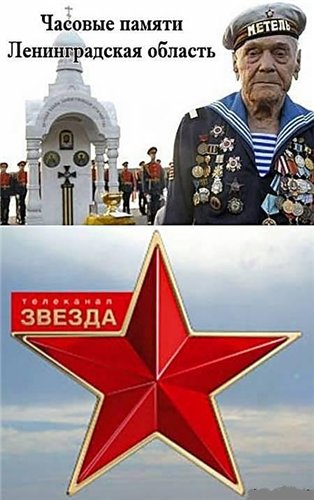 Часовые памяти. Ленинградская область