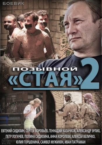 Позывной Стая 2 (1-12 серии из 12)