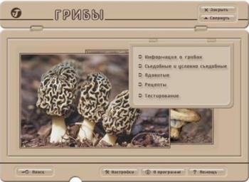 Грибы. Электронная энциклопедия (2005)