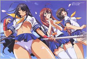 Школьные войны 1 и 2 сезоны / Ikki Tousen Ikki Tousen Dragon Destiny
