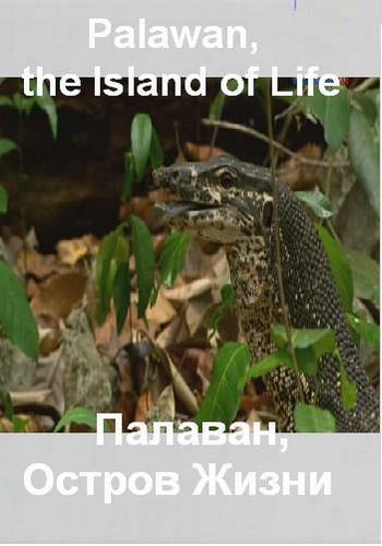 Палаван, остров жизни / Palawan, the island of life