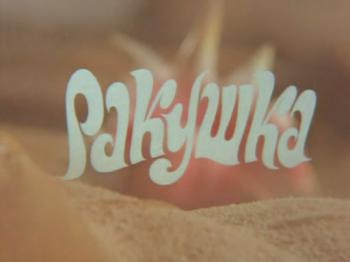 Ракушка / Дикобраз, Тушканчик и Черепаха.