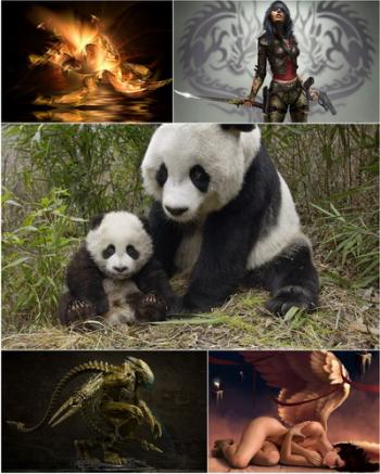 Amazing Desktop Wallpapers № 23