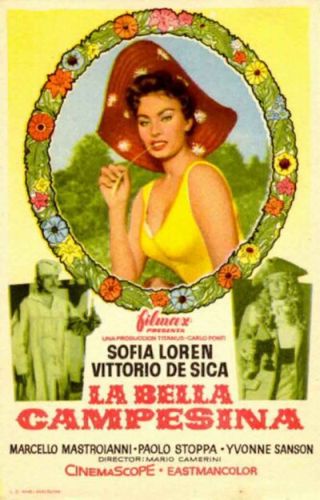 Прекрасная мельничиха / La bella mugnaia DVO