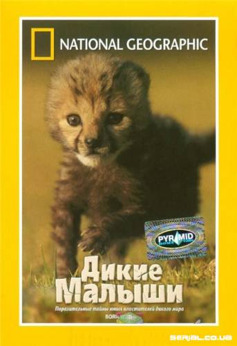 Дикие малыши / Born wild