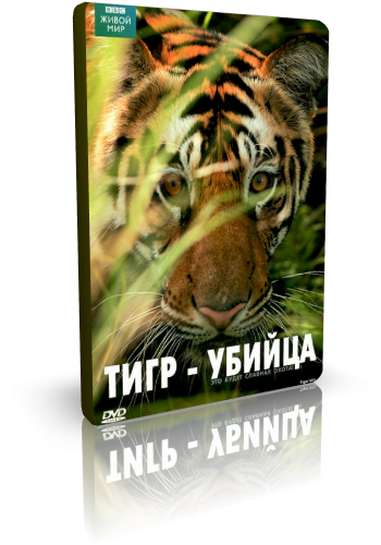 BBC: Живой мир. Тигр - убийца / BBC: Natural World. Tiger Kill