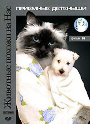 Животные похожи на нас: Приемные детеныши / Animals Like Us: Adoption