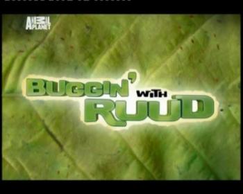Рууд и его жуки (1-4 серии) / Buggin with Ruud