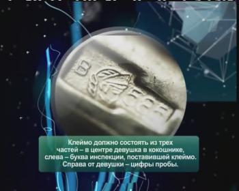 Среда обитания -