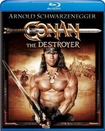 Конан-разрушитель / Conan the Destroyer 2хMVO+3xAVO
