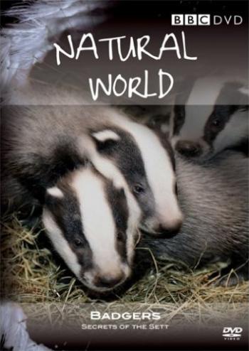 Тайная жизнь барсуков / Badgers Secrets of the Sett VO