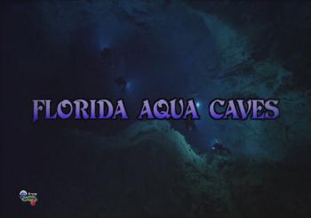 Водные пещеры во Флориде / Florida's Aqua Caves VO