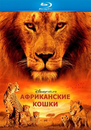Африканские кошки: Королевство смелости / African Cats DUB
