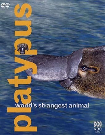 ABC: Самое необычное животное в мире. Утконос / ABC: Platypus. World's Strangest Animal DVO