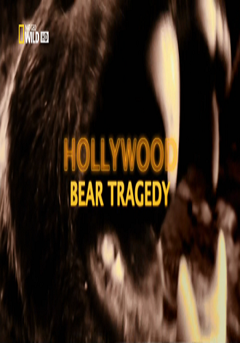 Голливудский медведь-убийца / Hollywood Bear Tragedy VO