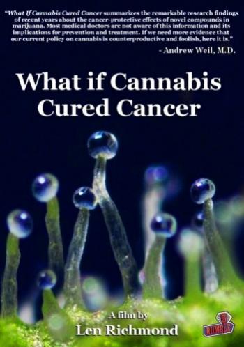 Что если марихуана лечит рак? / What if cannabis cured cancer? VO