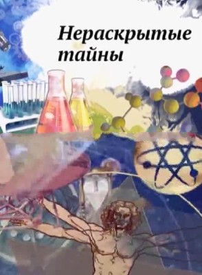 Нераскрытые тайны. Какие функции выполняет кожа и как ее защитить