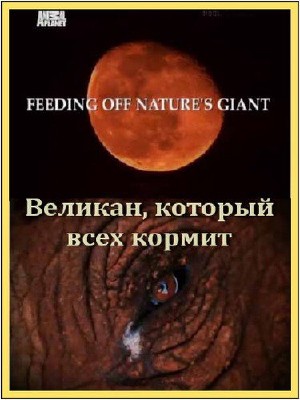 Animal Planet: Великан, который всех кормит / Animal Planet: Feeding Off Nature's Giant VO