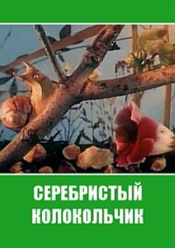 Серебристый колокольчик