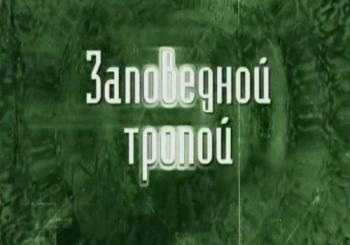 Заповедной тропой. Заказник Болото Ельня