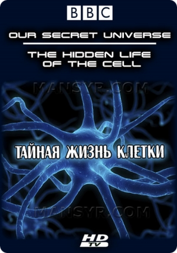 BBC. Внутренняя вселенная: Тайная жизнь клетки / BBC. Our Secret Universe: The Hidden Life of the Cell VO